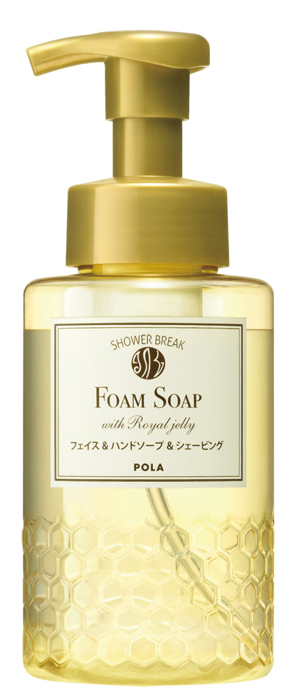 最安値⭐︎POLA ポーラ　シャワーブレイク　フォームソープ 10ℓ NV266 ポーラシャワーブレイクプラスフォームソープ10L【入数1個】